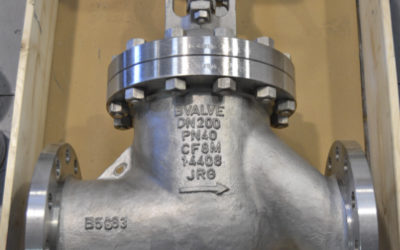 Stainless steel DN200 valve sent to Hong Kong